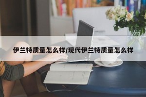 伊兰特质量怎么样/现代伊兰特质量怎么样
